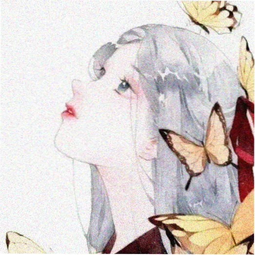 观众头像